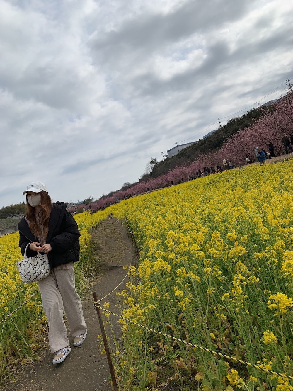 「お花見、春、桜、キャップ、niko and…、ニコアンド、コンバース、ZARA」｜「VANSのアイテム（スニーカー、ベージュ系）」を使った、Miki ◡̈⃝⋆*さん（レディース・155cm）の冬コーディネートの1枚目の写真