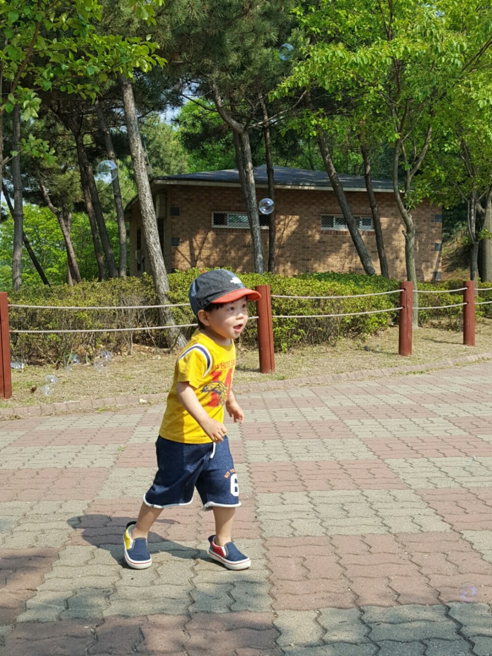 「THE NORTH FACE、Champion、VANS」｜「THE NORTH FACEのアイテム（キャップ、ブルー系）」を使った、daddyohさん（メンズ・90cm）の秋コーディネートの1枚目の写真
