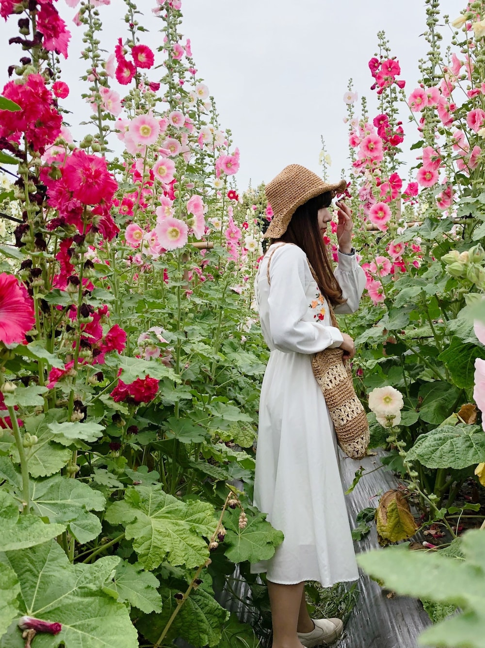 「花見」｜「日本品牌のアイテム（ワンピース、ホワイト系）」を使った、Minminmin Chuさん（レディース・156cm）の秋コーディネートの1枚目の写真