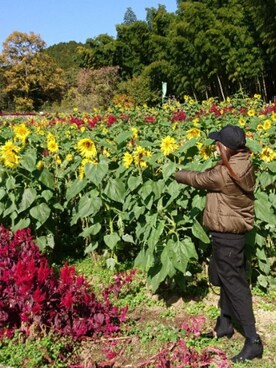 maruさん（レディース・154cm）の冬コーディネート