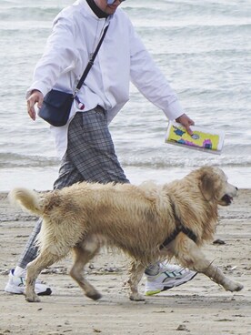 DCさんのコーディネート