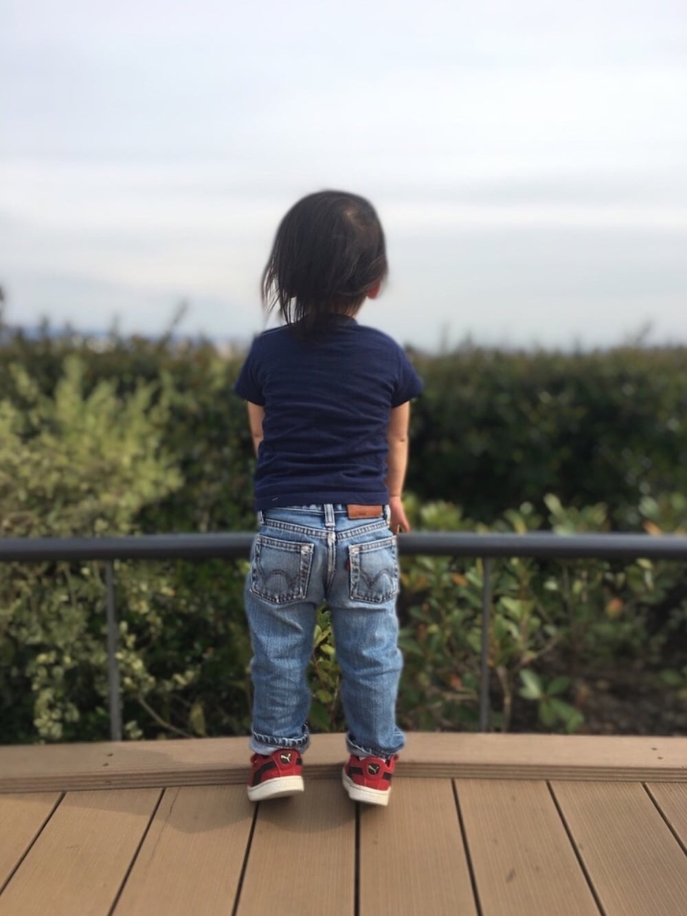 「キッズファッション、2歳、男の子コーデ、後ろ姿」｜「Birthdayのアイテム（Tシャツ/カットソー、ブルー系）」を使った、®︎etasさん（キッズ・80cm）の春コーディネートの1枚目の写真