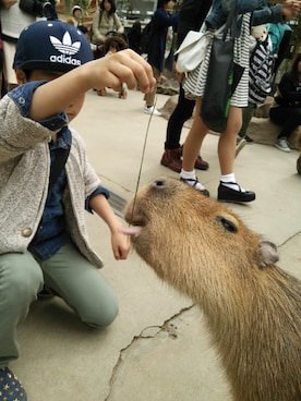 chi+さんのコーディネート