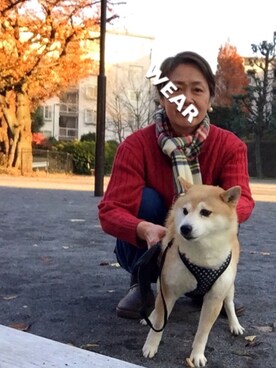 「IRIE（イリエ）のアイテム」を使った、ゆりさん（レディース・154cm）の秋コーディネート