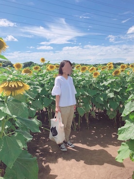 サトウさんのコーディネート