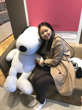 めくさんのコーディネート