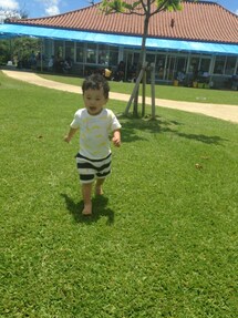 ぽ | ボーダー(Tシャツ/カットソー)