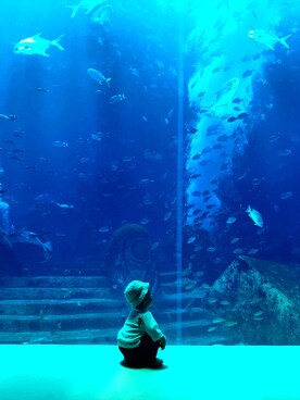 bing酱さんのコーディネート