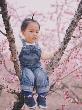 bing酱さんのコーディネート