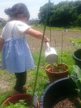 nahoさんのコーディネート