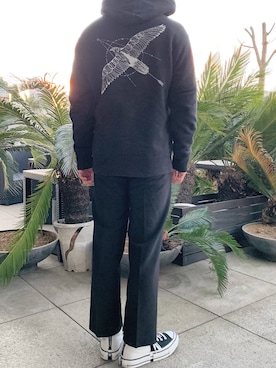 はやてまるぅさんのコーディネート