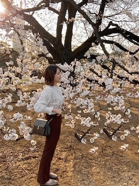 「花見コーデ」｜「アイテム（アクセサリー）」を使った、sallyさん（レディース・161cm）の春コーディネート