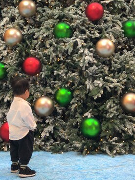 Tristan さんのコーディネート