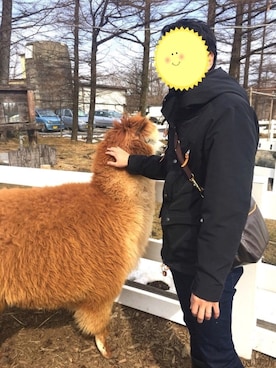 utaunekoさんのコーディネート