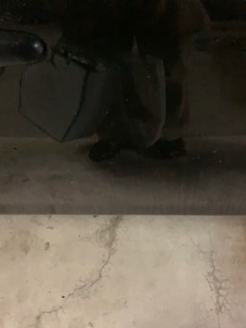 中村佳奈さんのコーディネート