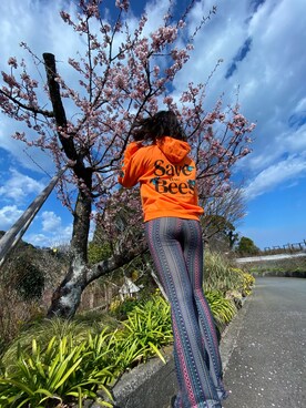 Midoriさんのコーディネート