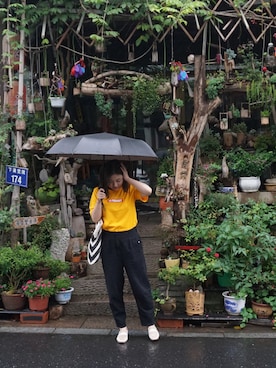 青猫猫さんのコーディネート