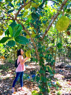 Le Thu Trangさんのコーディネート