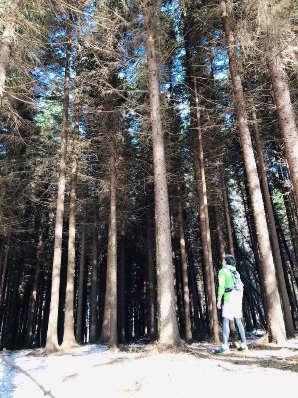 グリーン系のマウンテンパーカー、ブラック系のバックパック/リュック、シルバー系のパンツを着用したメンズの春コーディネートの1枚目の写真