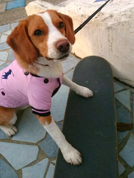 「Beagle 」｜Da-ruma さん（レディース・160cm）の冬コーディネート