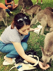 Ray BEAMS | Tシャツ/カットソー