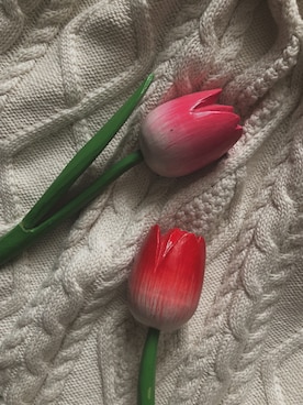 Rさんのコーディネート