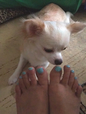 風太郎さんのコーディネート