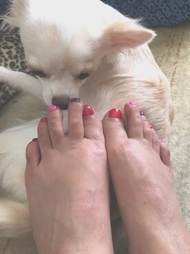 風太郎さんのコーディネート