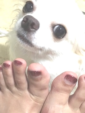 風太郎さんのコーディネート