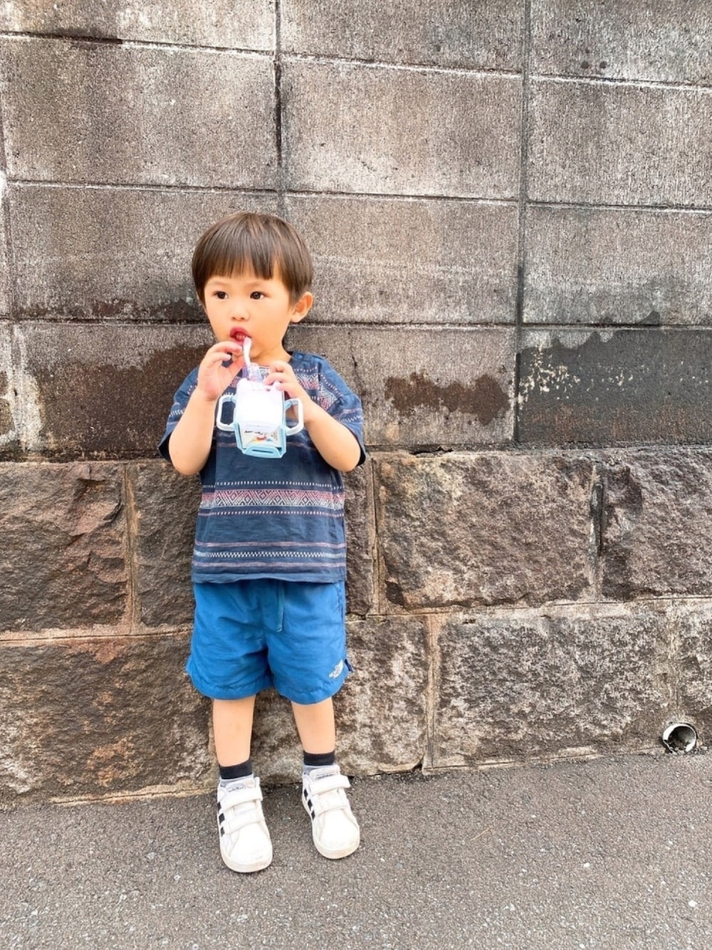 ヘリーハンセン ノースフェイス キッズ ハイキングコーデ Tシャツ