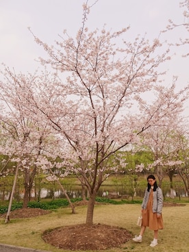 evenさん（レディース・158cm）の春コーディネート