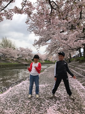 ミニーさん(キッズ・139cm)の春コーディネート