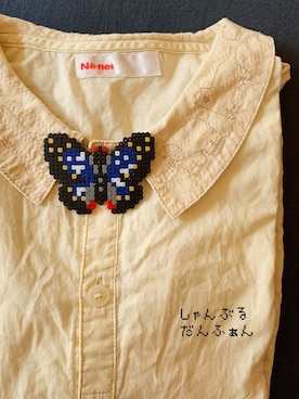 「Handmade（ハンドメイド）のアイテム（ブローチ/コサージュ）」を使った、しゃんぶるだんふぁんさん（レディース・151cm）の秋コーディネート