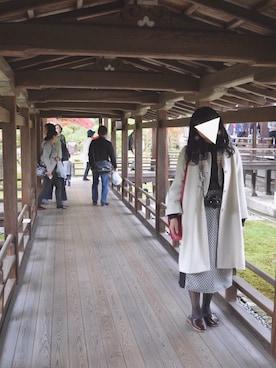 はこさんのコーディネート