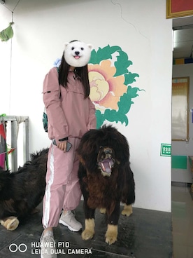 是虞不是鱼さんのコーディネート