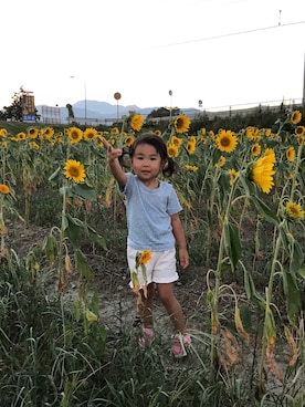 かなやんさんのコーディネート