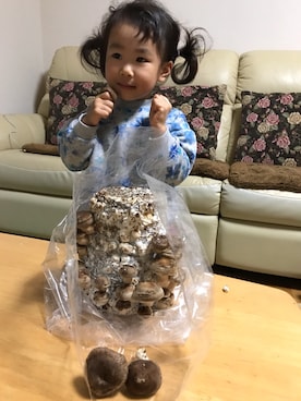 かなやんさんのコーディネート