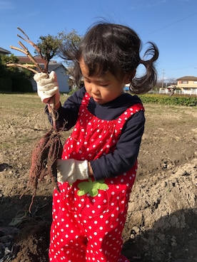 かなやんさんのコーディネート
