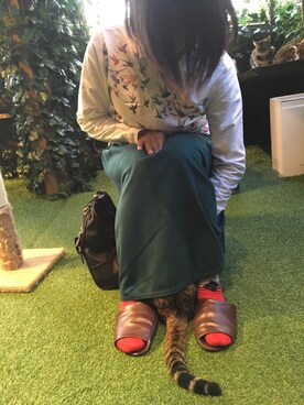 maro⭐︎相互⭐︎全身1万円以下コーデさん（レディース・158cm）の秋コーディネート