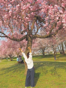 「CONVERSE（コンバース）のconverse（コンバース） ALL STAR OX（オールスターOX）（スニーカー）」を使った、yuka.nさん（レディース・151cm）の春コーディネート