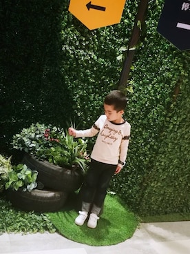 wwammさんのコーディネート