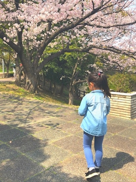 あっきさんのコーディネート