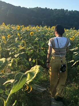 ふさんのコーディネート