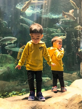 どんぐりBOYずさんのコーディネート