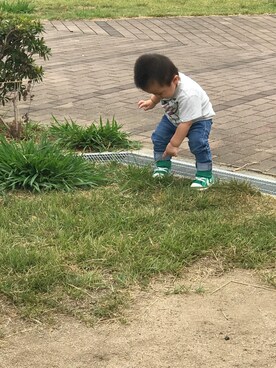 MOMOさんのコーディネート