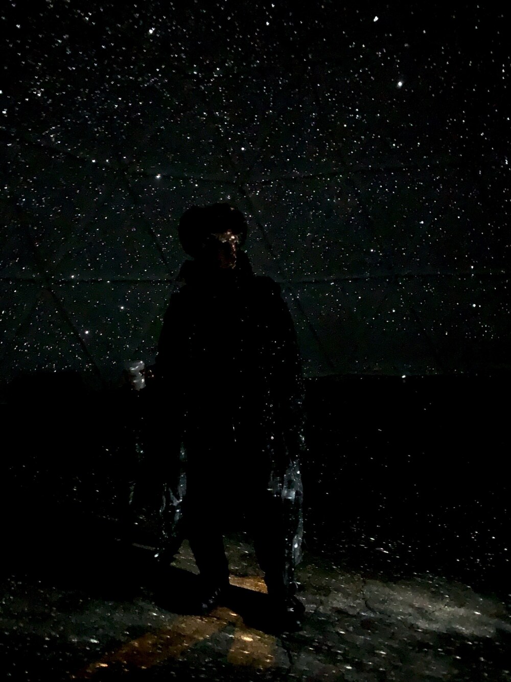 「COMME des GARCONS、COMME des GARCONS HOMME PLUS、ジャンプスーツ、フライトキャップ、vintage、ダウンコート、ベンチコート、星、雪」｜「usedのアイテム（ダウンジャケット/コート、ブラック系）」を使った、ぐっちさん（メンズ・165cm）の冬コーディネートの1枚目の写真