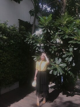 碧碧さんのコーディネート