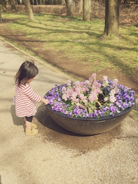 a＊さんのコーディネート