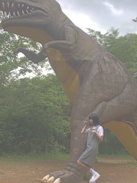 「恐竜！のアイテム（その他、グレー系）」を使った、さいさん（レディース・165cm）の夏コーディネート