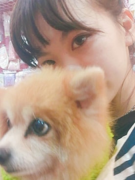 就不吃蔬菜的兔子さんのコーディネート